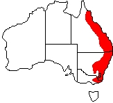 Eastern Water Dragon Range